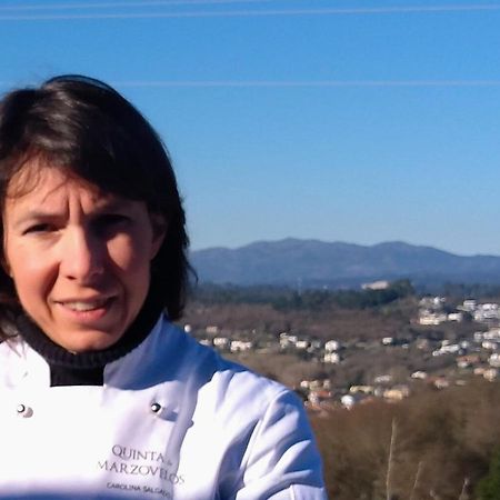 Quinta De Marzovelos Viseu Kültér fotó